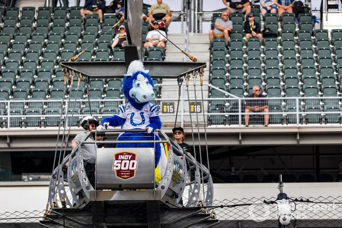 Mascota de los Indianapolis Colts