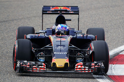 Max Verstappen, Scuderia Toro Rosso STR11
