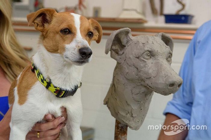 Norman, el perro de Simon Pagenaud, Team Penske

