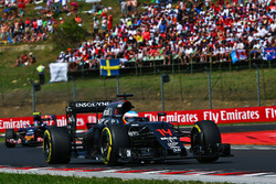 Фернандо Алонсо, McLaren MP4-31