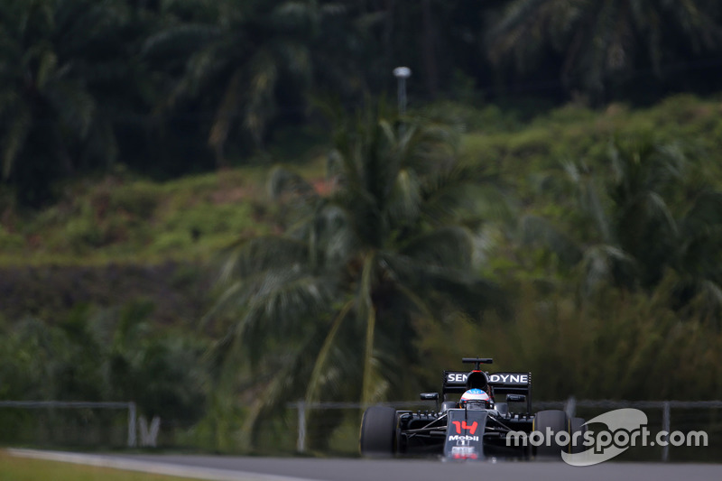 Fernando Alonso, McLaren Honda