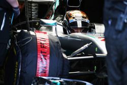 Pascal Wehrlein, Mercedes AMG F1 W05 Hybrid Piloto de pruebas