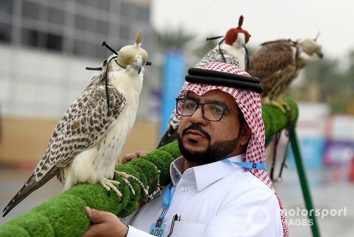 Los halcones en el el circuito