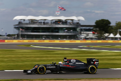 Fernando Alonso, McLaren MP4-31