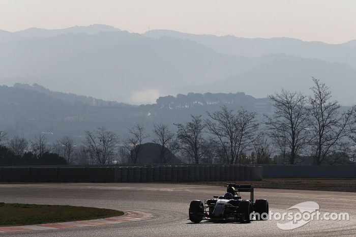 Max Verstappen, Scuderia Toro Rosso STR11