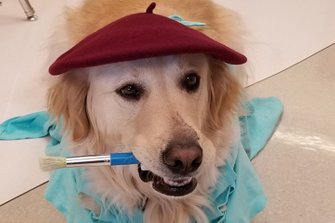 Beck the painting dog