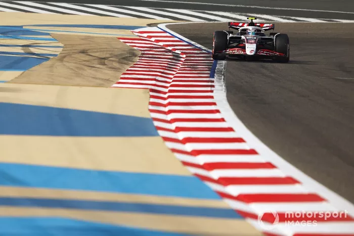 Ryo Hirakawa, Haas