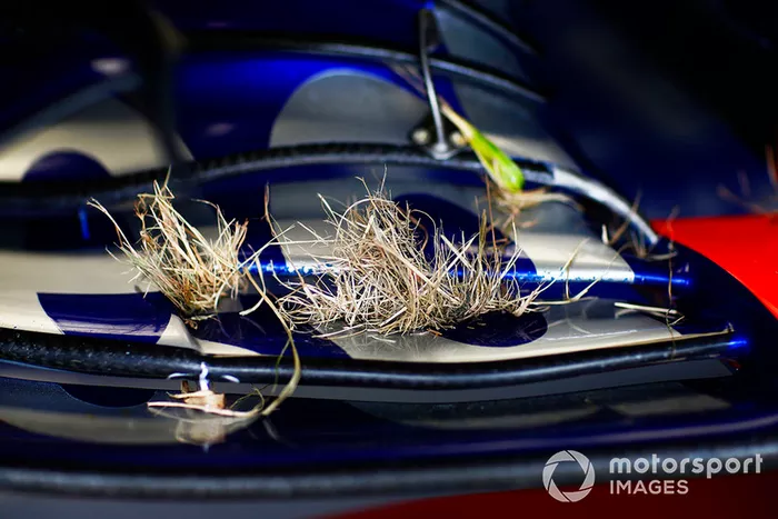 Grass in the front wing of the car of Pierre Gasly, Scuderia Toro Rosso STR13