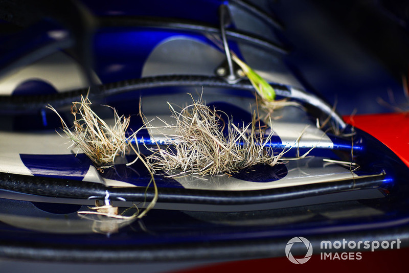 П'єр Гаслі, Scuderia Toro Rosso STR13