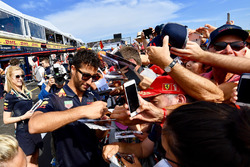 Даніель Ріккардо, Red Bull Racing