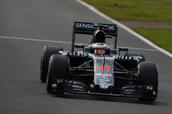 Стоффель Вандорн, тестовий та резервний пілот McLaren MP4-31