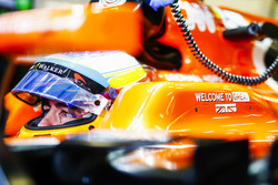 Фернандо Алонсо, McLaren