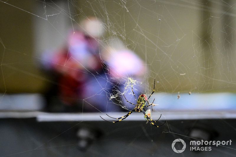 Marc Marquez, Gresini Racing