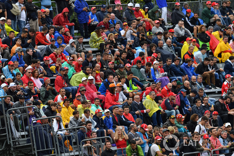 Fans in the rain