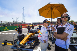 Stoffel Vandoorne, McLaren, sur la grille