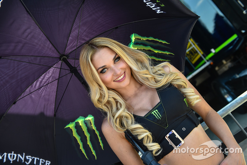 Monster Energy grid girl
