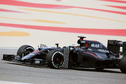 Stoffel Vandoorne, McLaren MP4-31