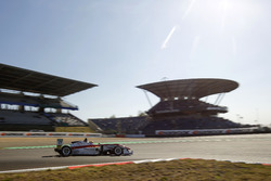 Maximilian Günther, Prema Powerteam Dallara F312 Mercedes-Benz