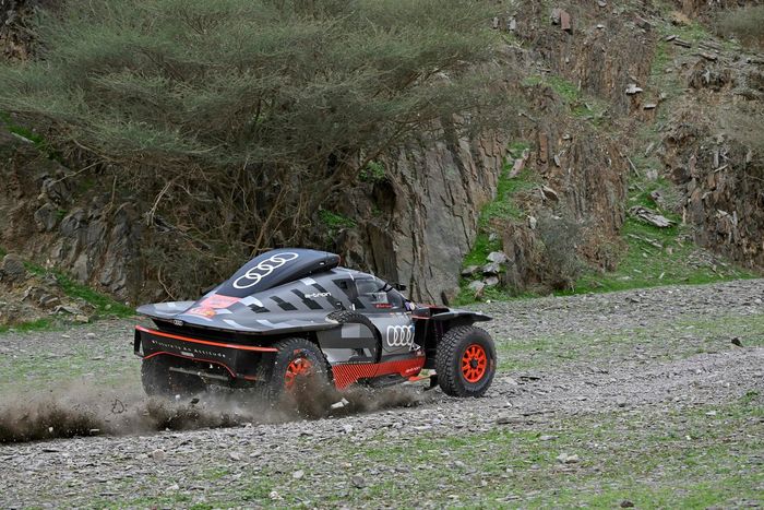 #207 Team Audi Sport Audi: Carlos Sainz, Lucas Cruz