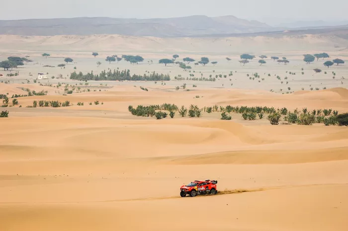 #311 Bahrain Raid Xtreme Hunter: Nani Roma, Alex Winocq