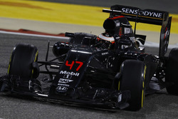 Stoffel Vandoorne, McLaren MP4-31