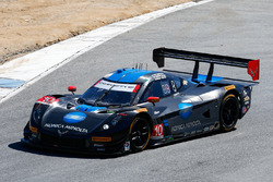 Wayne Taylor Racing