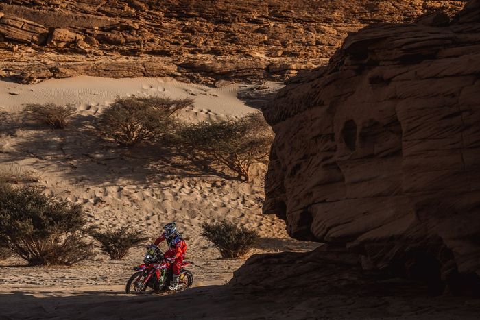 #88 Monster Energy Honda Team 2022: Joan Barreda Bort