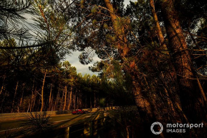 #50 Richard Mille Racing Team Oreca 07 - Gibson: Tatiana Calderon, Sophia Floersch, Beitske Visser