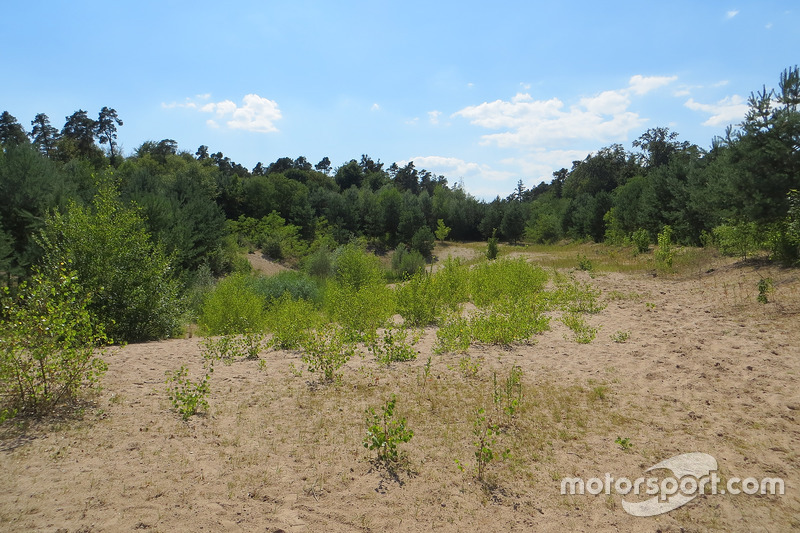 Historic Hockenheimring track walk