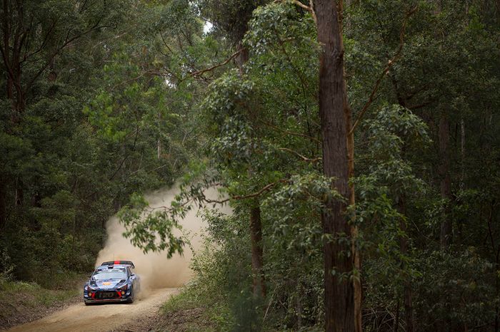 Thierry Neuville, Nicolas Gilsoul, Hyundai i20 WRC, Hyundai Motorsport