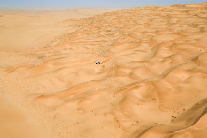 #225 Ford M-Sport Ford: Carlos Sainz Sr, Lucas Cruz