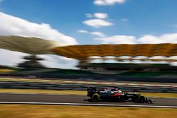 Fernando Alonso, McLaren MP4-31