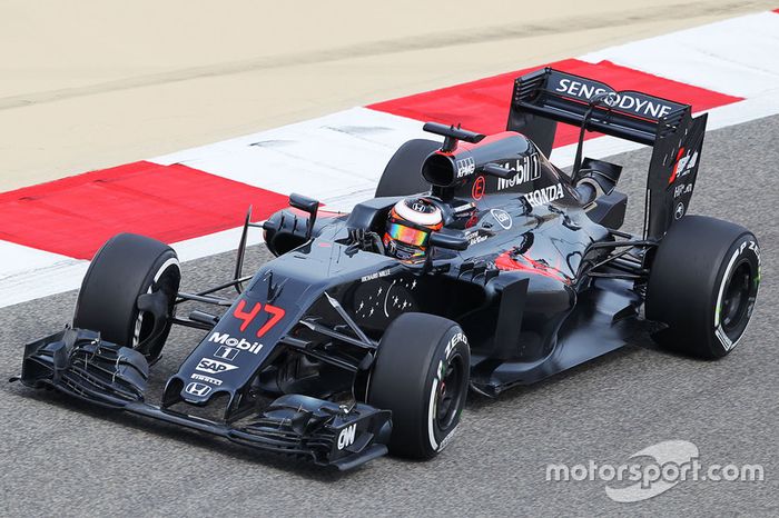 Stoffel Vandoorne, McLaren MP4-31