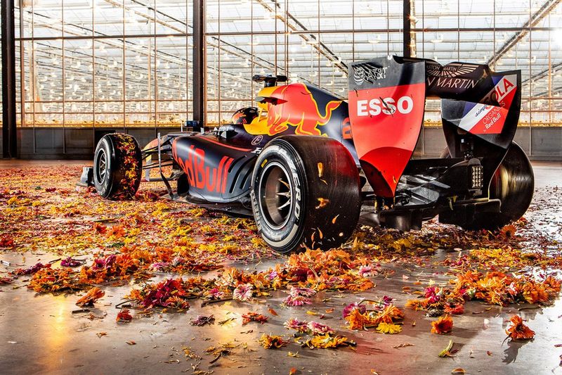 Max Verstappen, Red Bull Racing