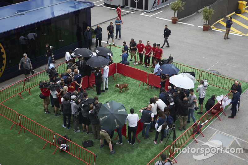 Lewis Hamilton, Mercedes AMG F1, his dog in the drivers media pen in the paddock