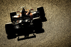 Stoffel Vandoorne, McLaren MCL32