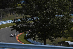 Вілл Пауер, Team Penske Chevrolet