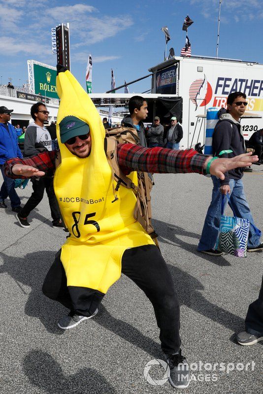 #85 JDC-Miller Motorsports Cadillac DPi, DPi: Misha Goikhberg, Tristan Vautier, JDC BananaMan, fans