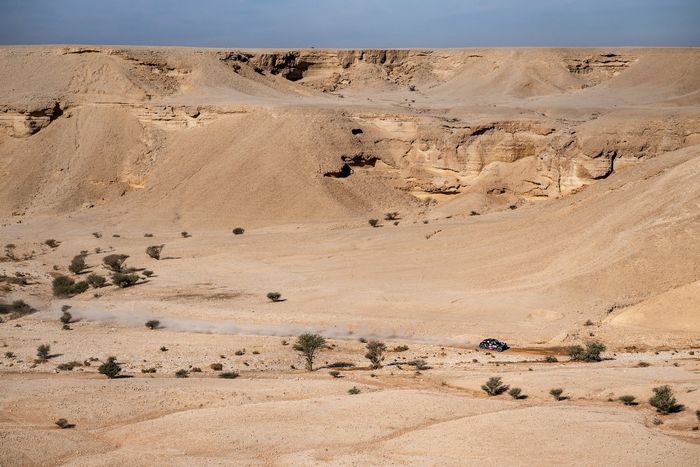 #203 X-Raid Orlen Team Mini: Jakub Przygonski, Timo Gottschalk