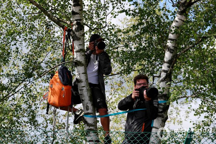 Fotógrafos en un árbol