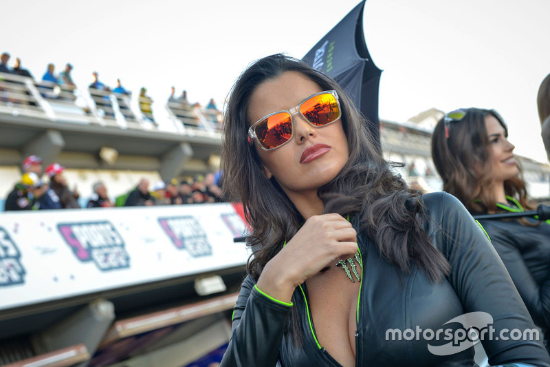 Hot Monster energy girl