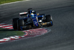 Marcus Ericsson, Sauber C36