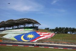 Fernando Alonso, McLaren MP4-31