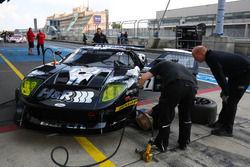 Mike Stursberg, Nico Verdonck, Alzen Motorsport, Ford GT