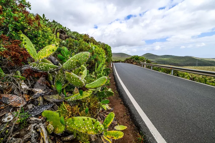 Rally Stage Atmosphere
