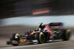 Карлос Сайнс-мол., Scuderia Toro Rosso STR11