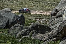 #104 Peugeot: Cyril Despres, David Castera