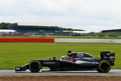Stoffel Vandoorne, McLaren MP4-31 Piloto de pruebas y de reserva