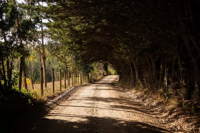 Vista general del camino