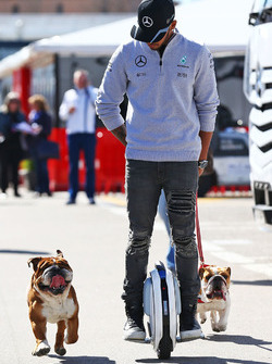 Льюис Хэмилтон, Mercedes AMG F1 на ховерборде в паддоке со своими собаками - Роско и Коко